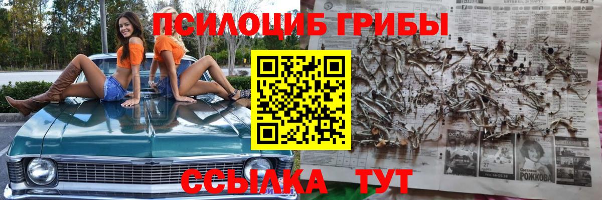 Саранск  Псилоцибиновые грибы Psilocybine cubensis  Вход с VPN 