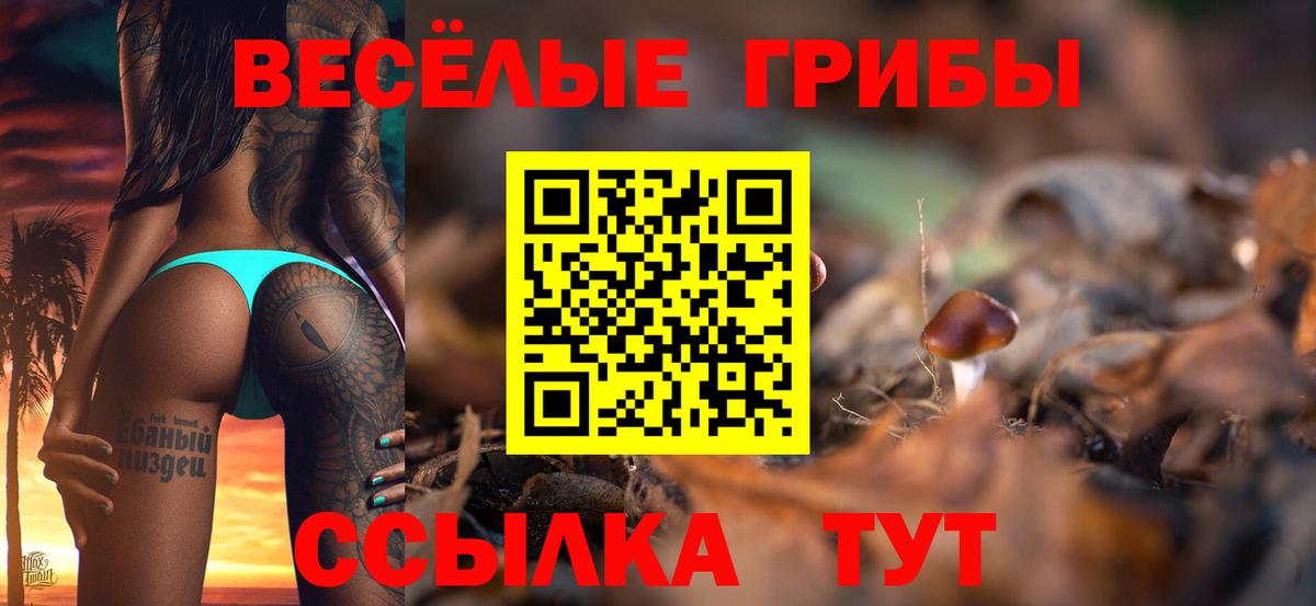 Псилоцибиновые грибы Cubensis Саранск